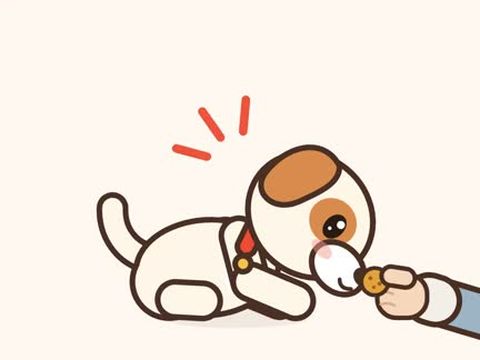 Mochi: 趴下