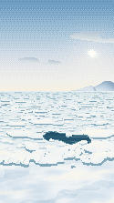 Drift ice and a clear-water opening.